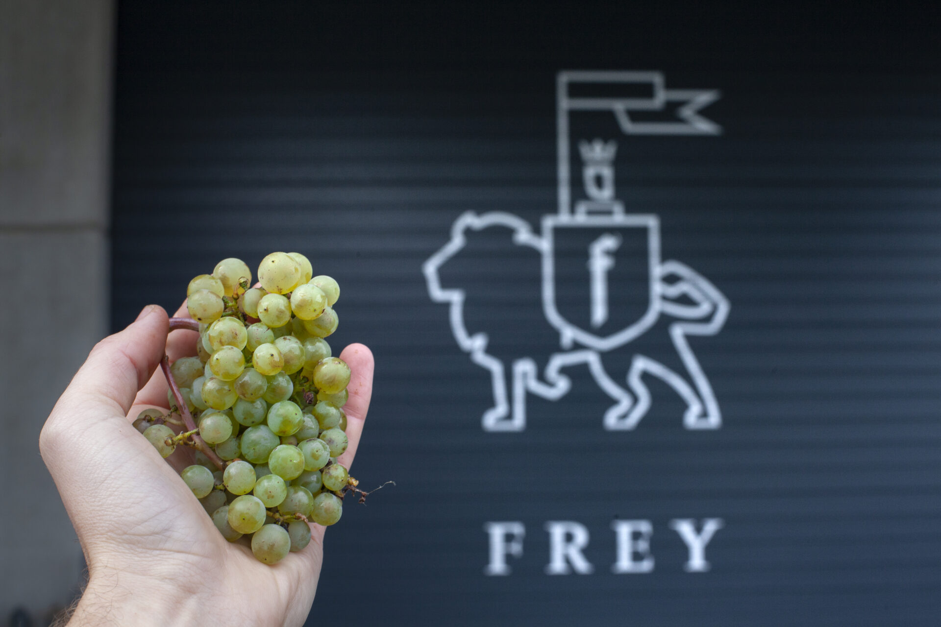 Vinene fra Weingut Frey er alle økologisk certificerede